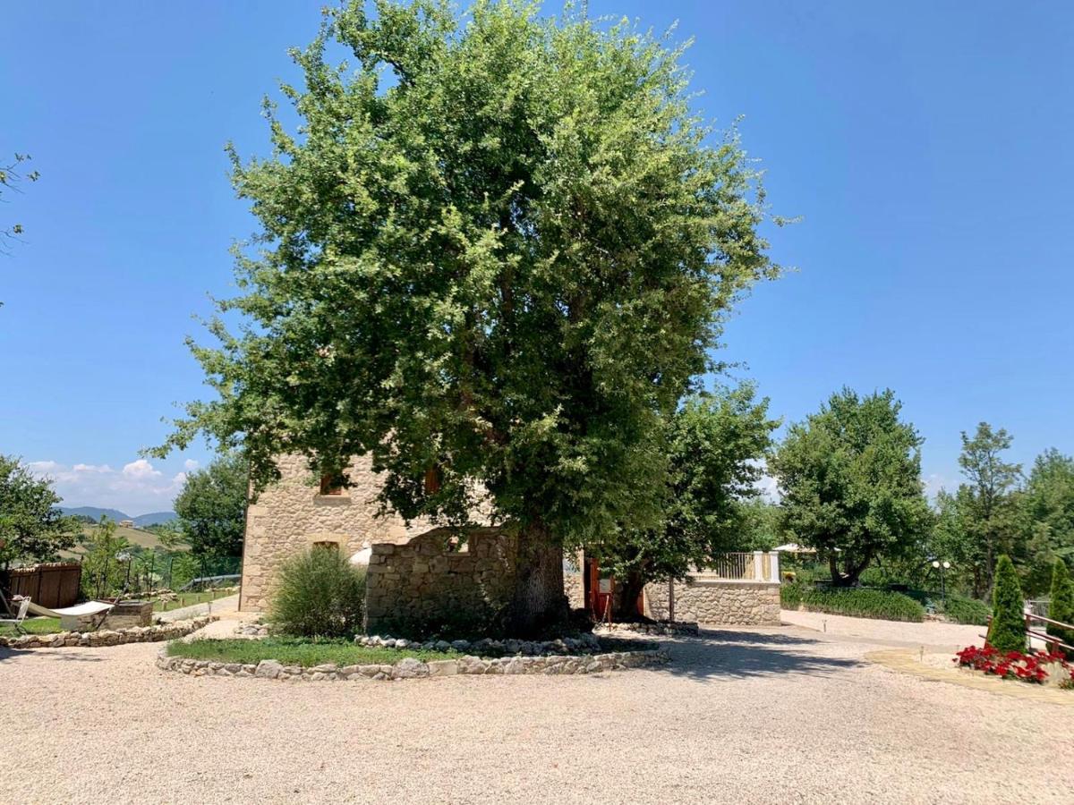 La Quercia B&B Abbateggio Exterior foto